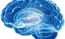 Evaluare neuropsihologica